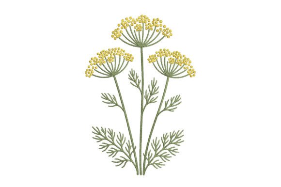 Umbel Flower Embroidery Design: A Professional Review